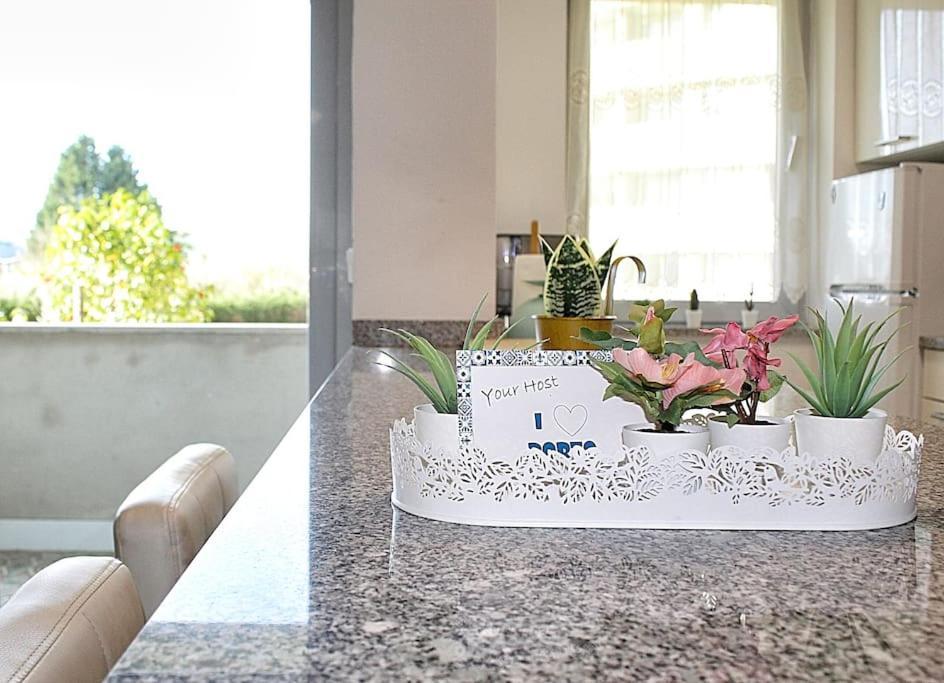 Arrabida Luxury Studio فيلا نوفا دي غايا المظهر الخارجي الصورة